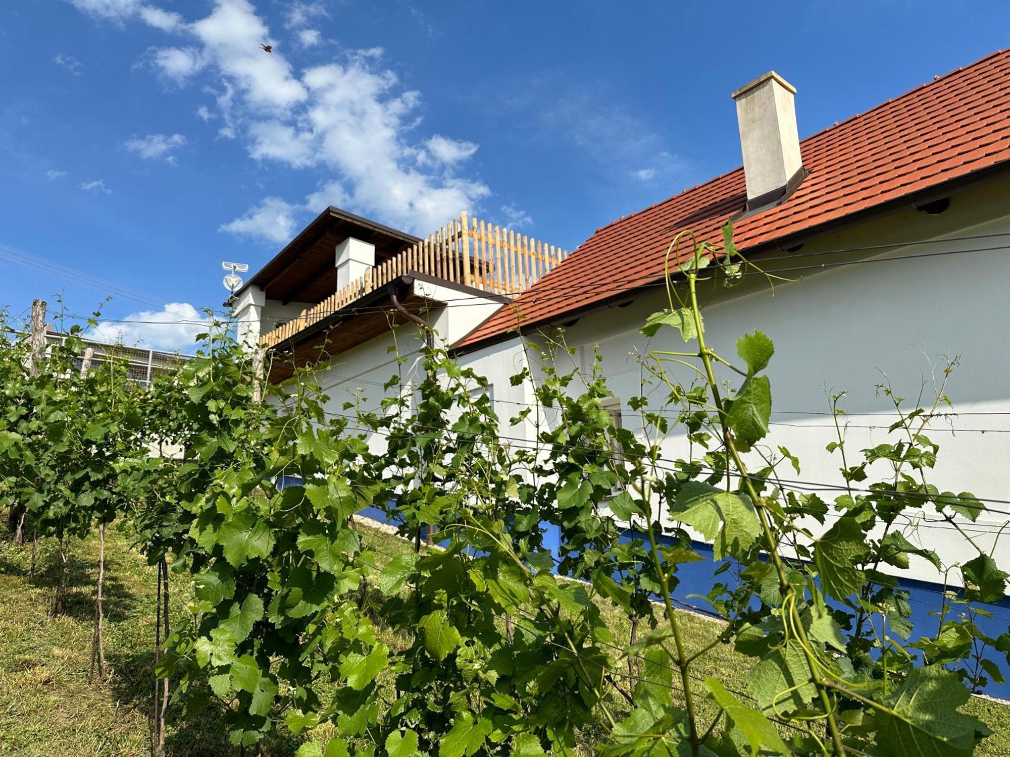Вилла Nad Slovackym Sklipkem Tupesy Экстерьер фото